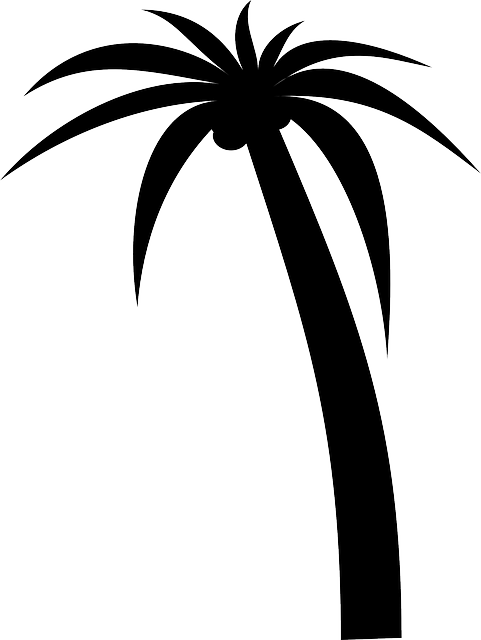 Silhouette Black, Icon, Simple, Outline, Drawing, Silhouette - Palm Tree Clip Art (481x640)