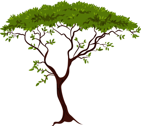 Sylhet Tree Festival Host - African Tree Silhouette (487x436)