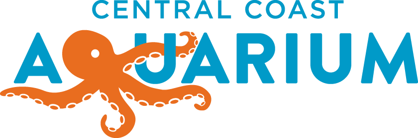 About - Logos With Octopuses Aquarium (840x279)