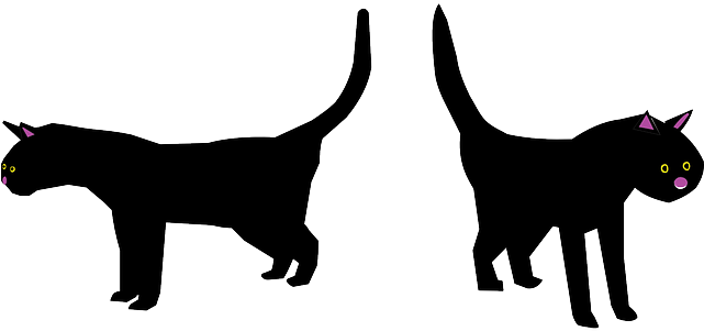 Pet Cat, Black, Bad, Face, Cartoon, Luck, Halloween, - Cat Mom Totes Handbags Purses, Cats, Adult Unisex, (640x320)