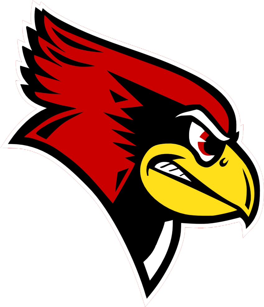 Team Orthopedic Surgeons For - Illinois State University Redbird (880x1024)