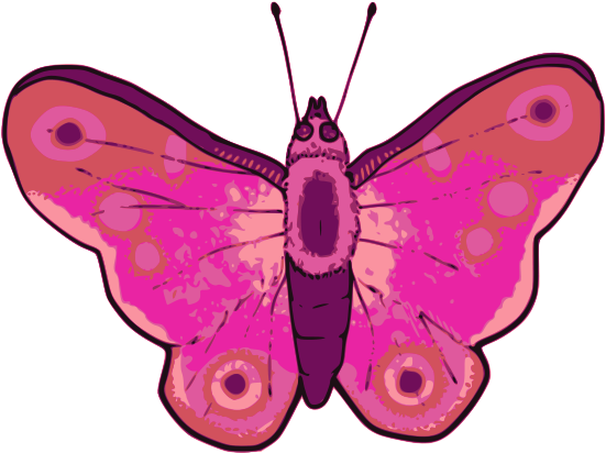 Free 1278212857 Free Caligo Teucer Free Butterfly - Vector Graphics (800x655)