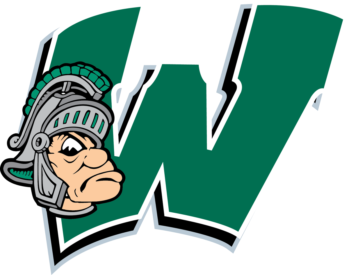 Team Orthopedic Surgeons For - Illinois Wesleyan University Titans (2023x1598)