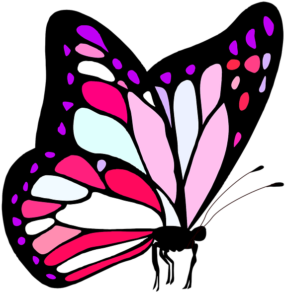 Guitar Butterfly Cliparts 24, Buy Clip Art - Butterflies And Moths (733x720)