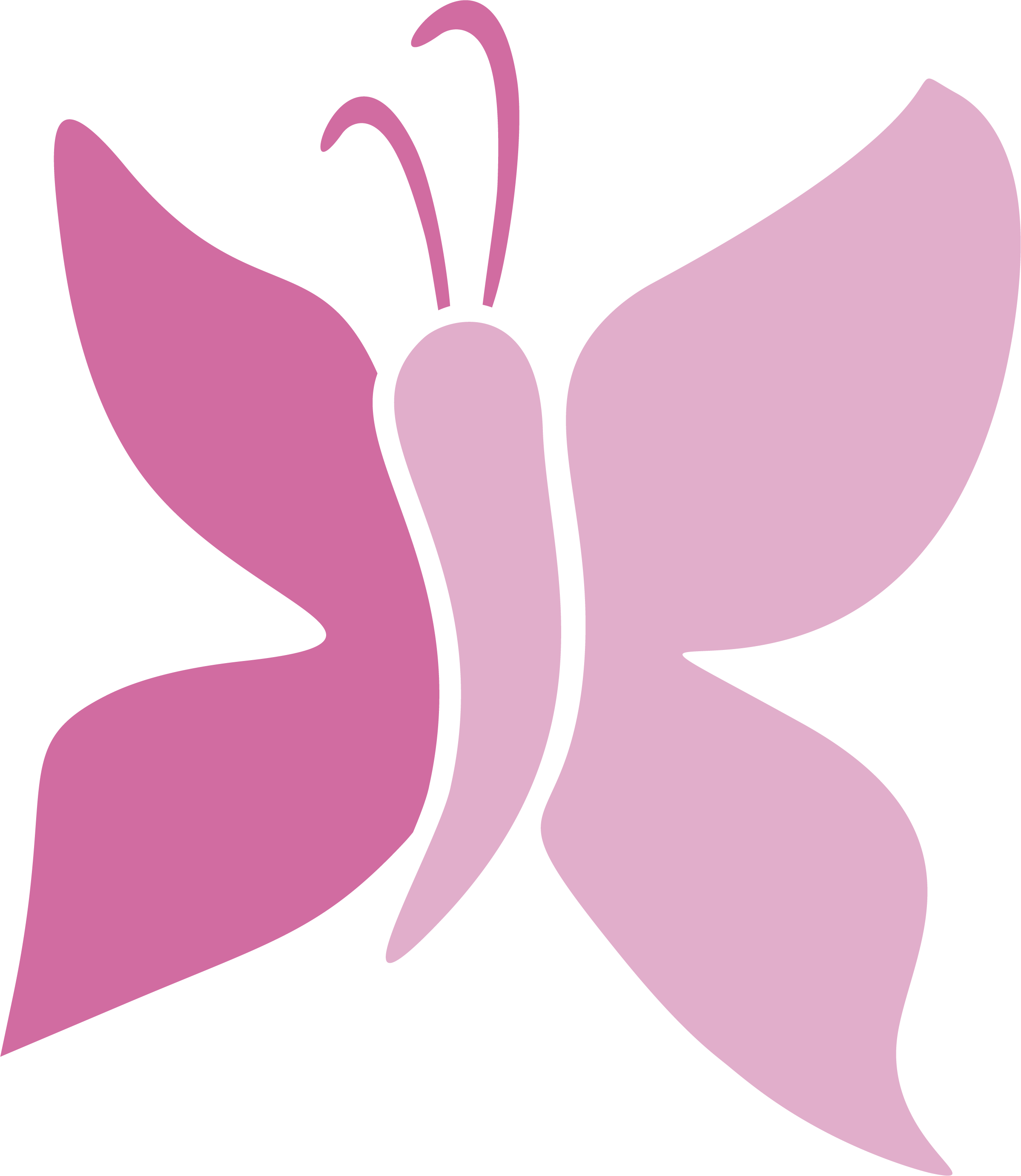 Pink Butterfly Beauty Center - Pink Butterfly Beauty Center (2398x2763)