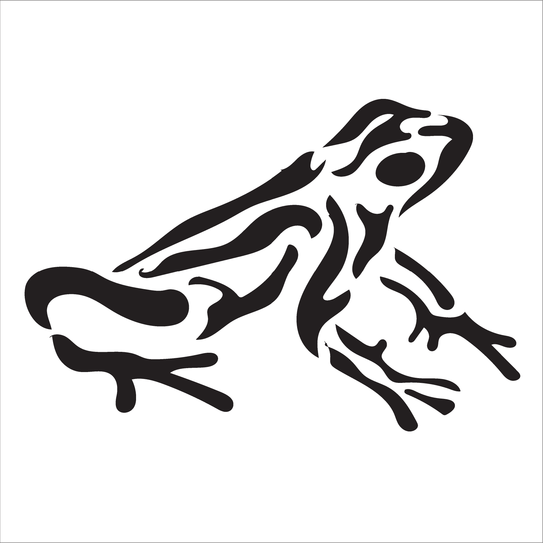 Poison Dart Frog - Illustration (1800x1801)