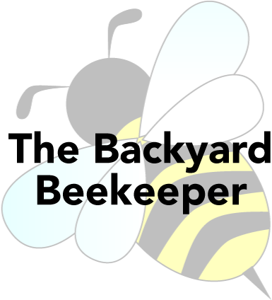 Backyard Beekeeping Is Increasing In Popularity On - Women's Foundation Of Colorado (421x445)