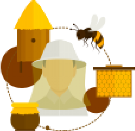 Fresh Raw Honey Harvested Weekly - Illustration (770x434)