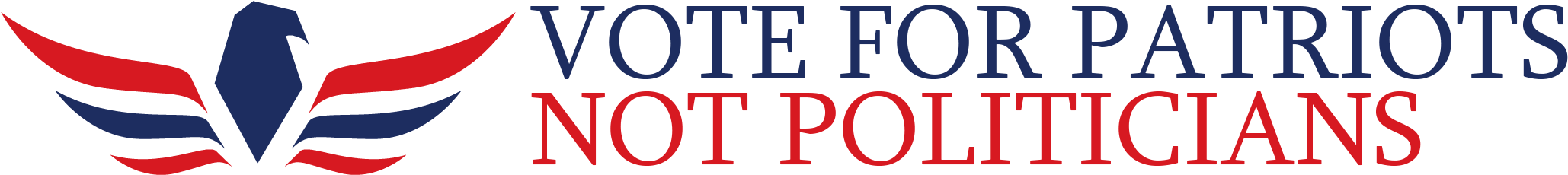 Only We The People Can End The Rampant Legalized Bribery - Election (2069x229)