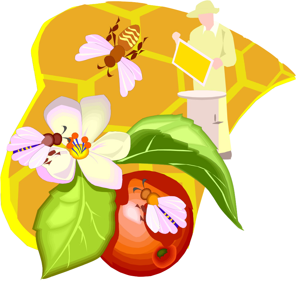 The Farmyard Honey Factory - The Farmyard Honey Factory (970x918)