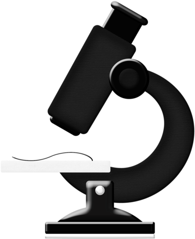 Inshv Альбом «школа//school//ecole / Science Class - Smartphone (431x500)