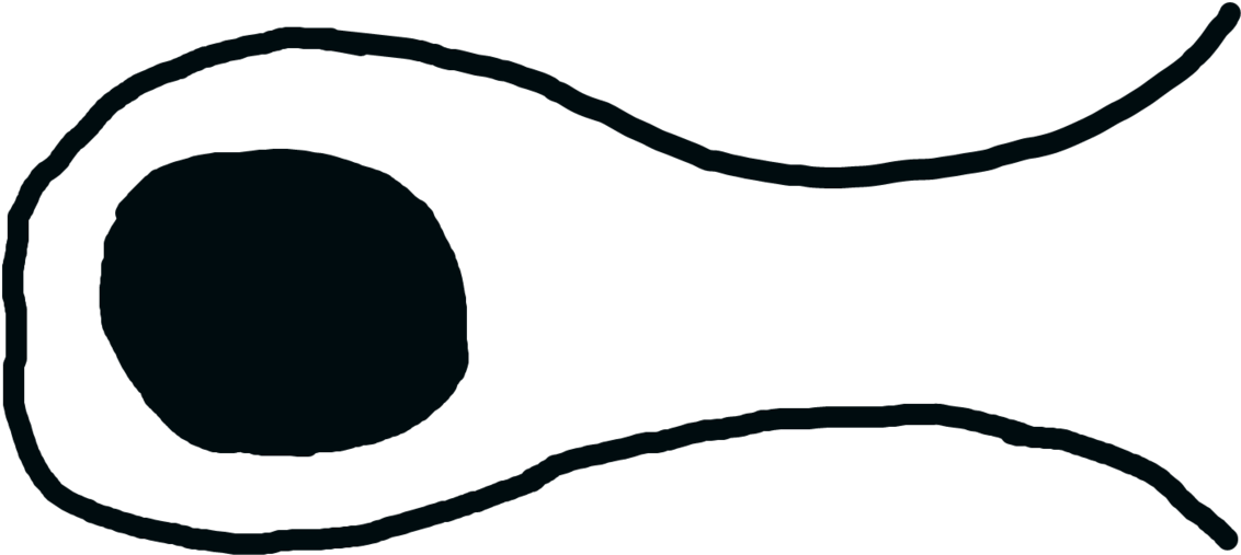 Coiny's Whistle Mouth By Shenson202 - Coiny's Whistle Mouth By Shenson202 (1257x636)