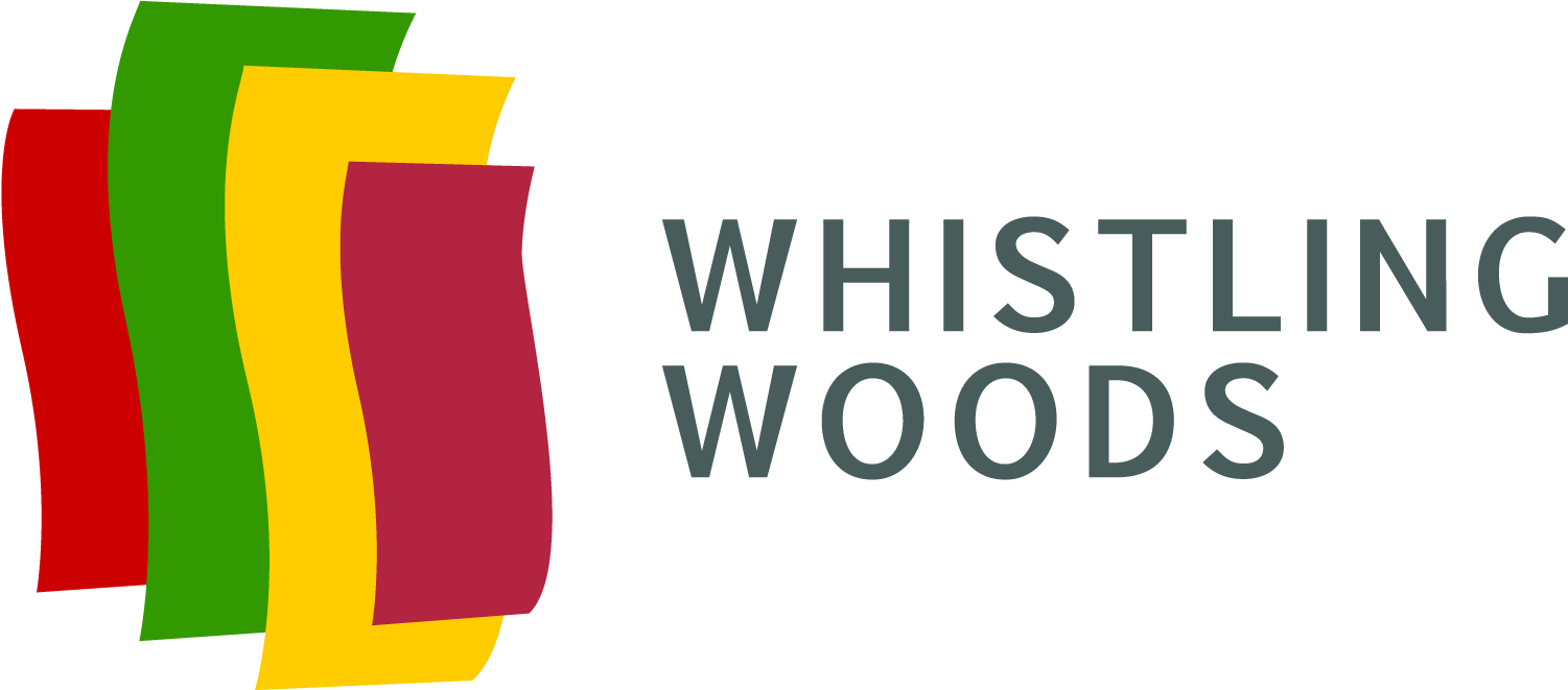 Overview - Overview (1514x660)