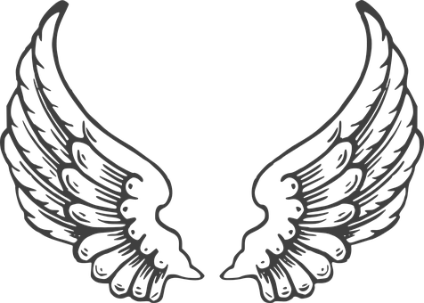 Wings White Wing Isolated Symbol Feather W - Angel Wings (476x340)
