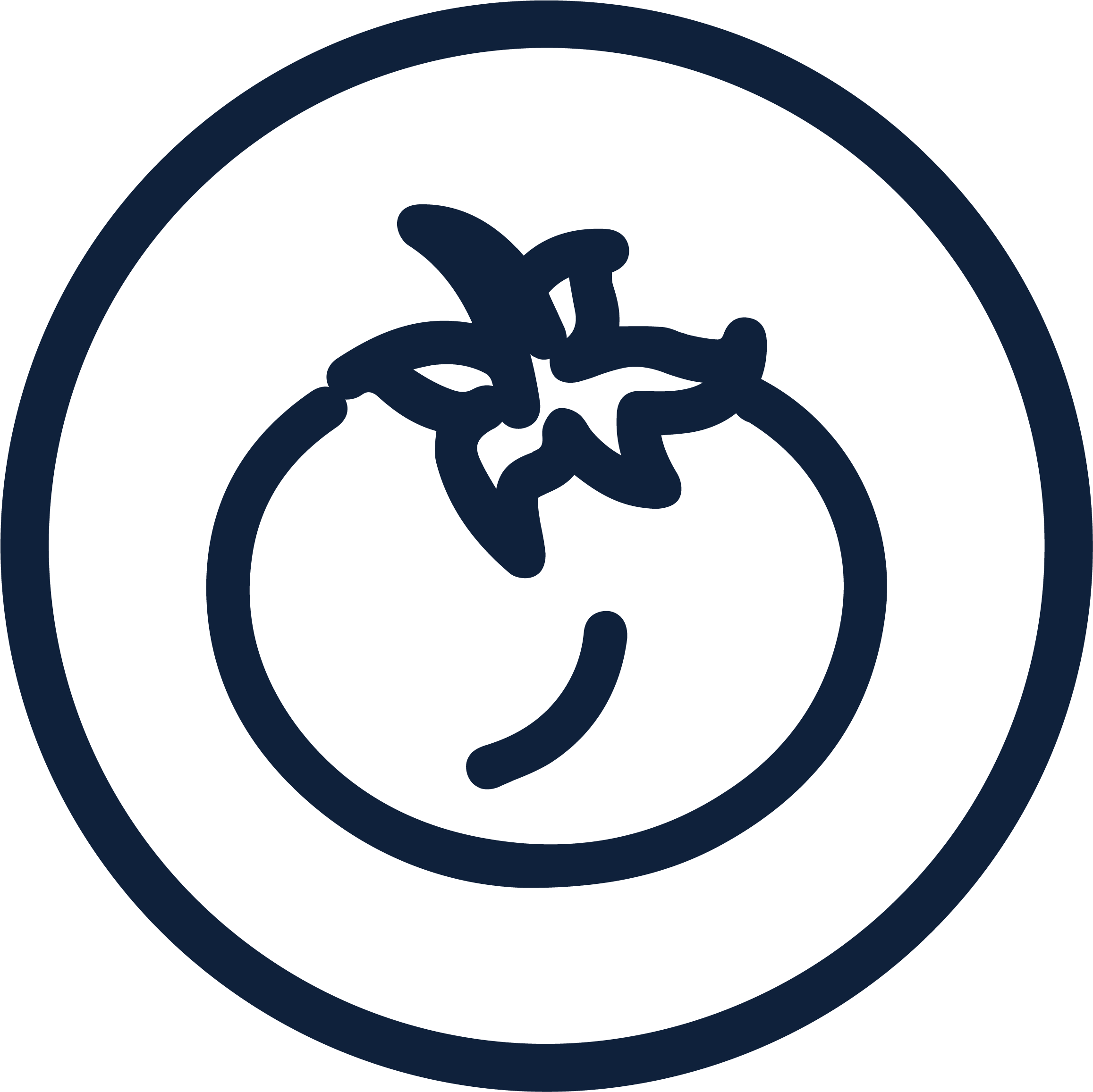 Dr Will's Is Made With Real Tomatoes - Tomato (2667x2668)