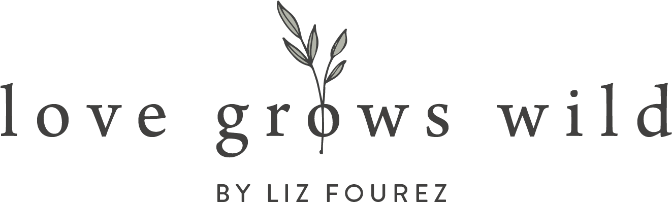 Logo - Dipping Sauce (1357x416)