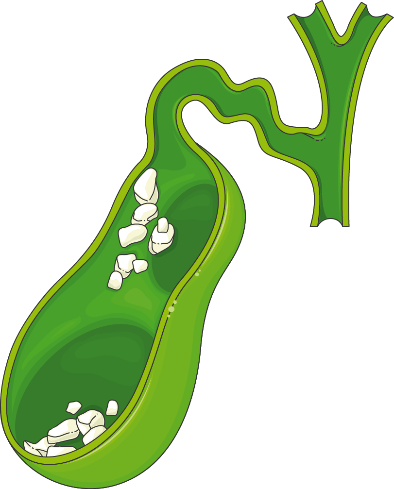 Download The Image Download The Entire Set - Download The Image Download The Entire Set (811x1007)