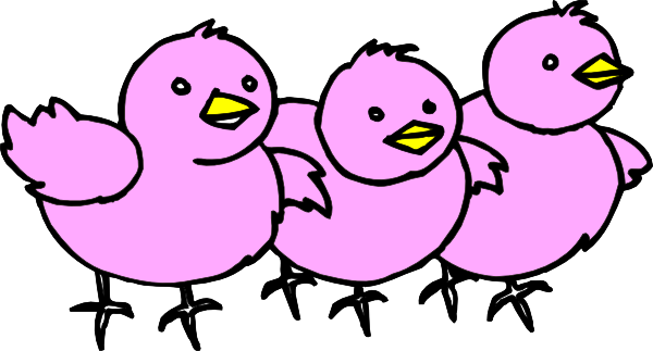 Pink Chicks Clip Art - Pink Chicks Clipart (600x323)