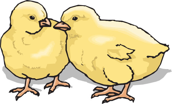 Chicks Clipart - Don't Mess With Texas (600x363)