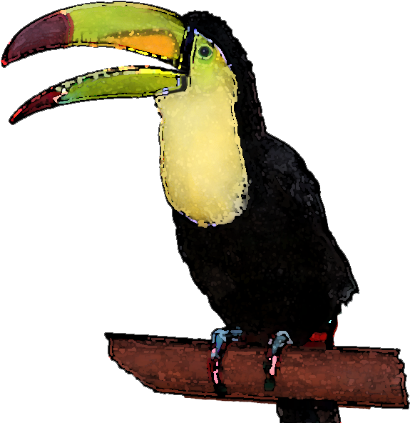 Toucan Clipart Face - Toucan (600x628)