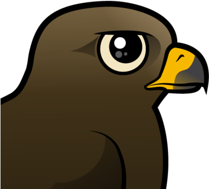 The Black Kite Is A Widespread Species Throughout The - Black Kite (440x440)