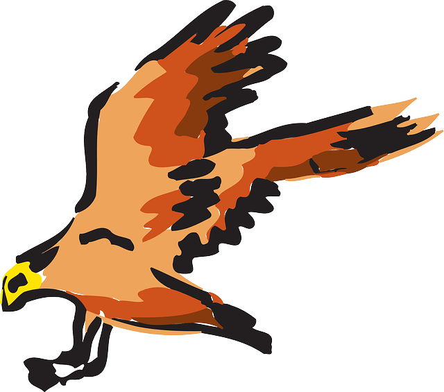 Orange, Bird, Flying, Wings, Art, Animal, Feathers - Red Falcon Vector Fly (640x565)
