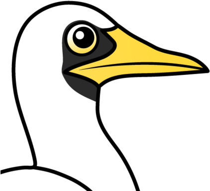 The Masked Booby Is The Largest Booby With A Wingspan - Blue-footed Booby (440x440)