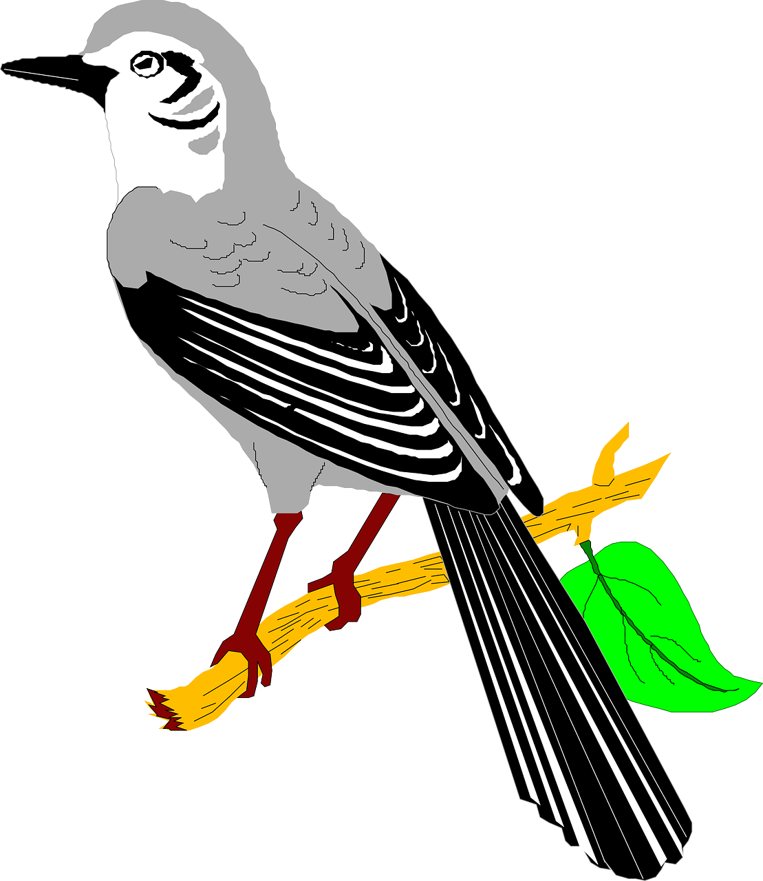 Illustration Of A Mocking Bird - Mockingbird Clipart Transparent Background (1109x1280)