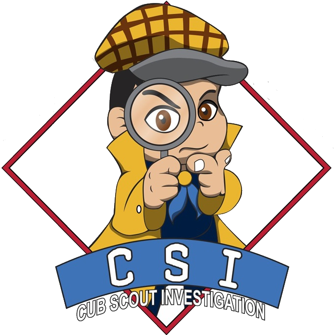 Program Director, Eric Johanson - Cub Scout Day Camp 2016 (700x682)