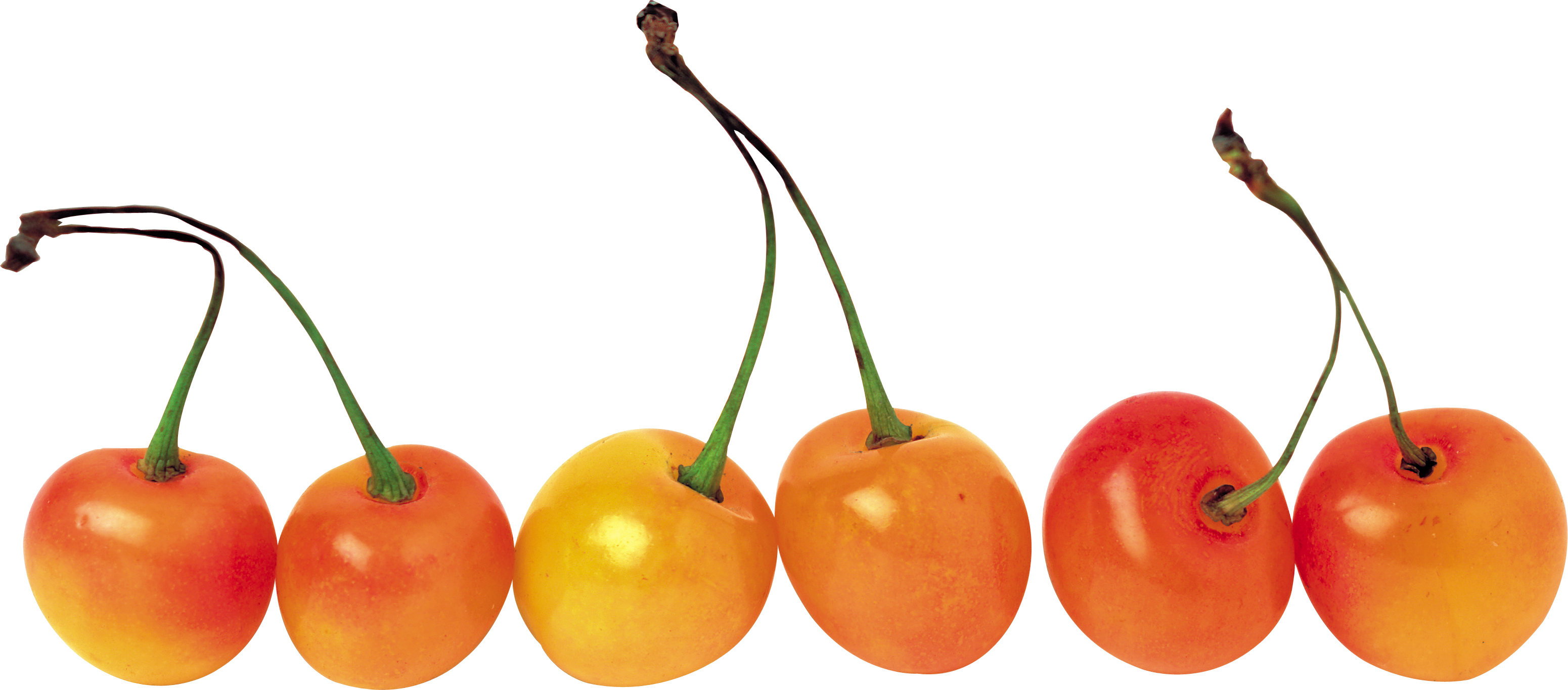 Sweet Cherry Habanero Clip Art - Sweet Cherry Habanero Clip Art (3101x1364)