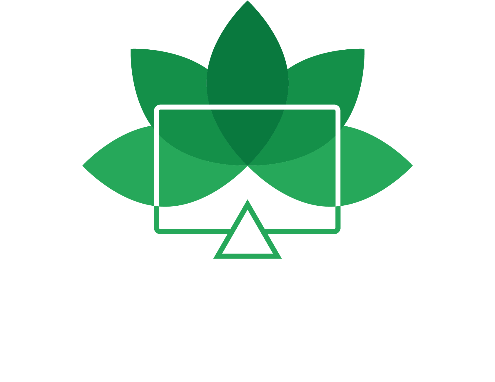 Forest Monitor - National Park (1883x1499)