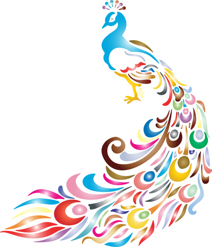 New Peacock Clipart Images Black And White Photos - Peacock Clipart Transparent Background (686x800)