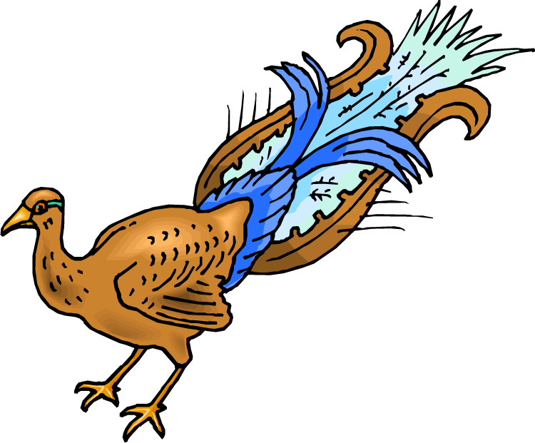Pretty Peacock - Art (750x621)