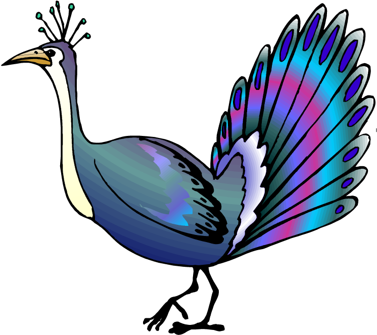 Feathered Peacock - Colorful Peacock Large Wall Clock (750x671)
