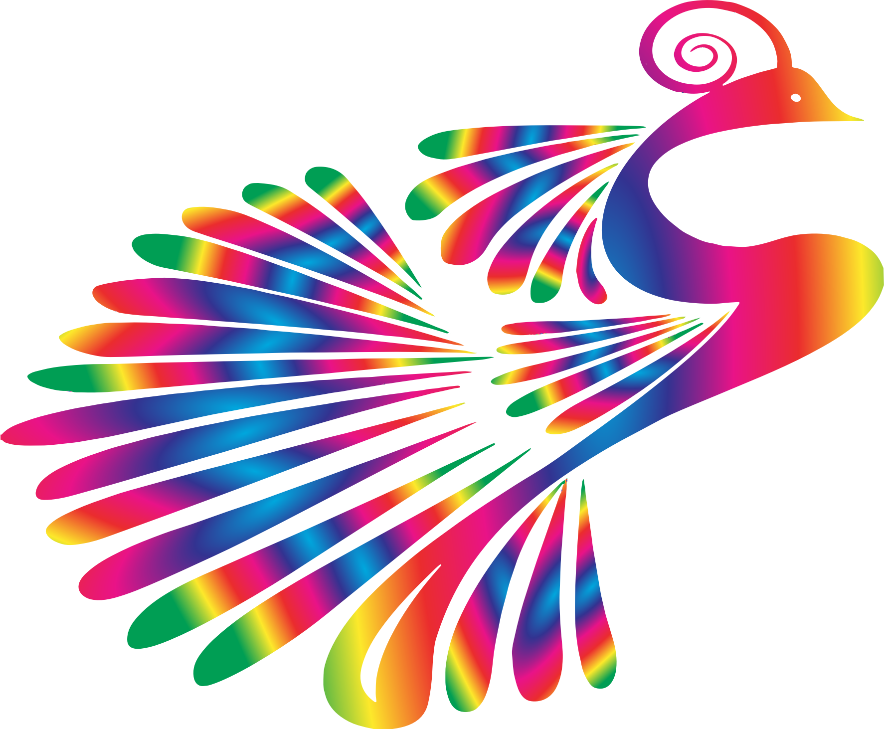 Peacock Colorful 2 - Peacock Clipart (1773x1462)