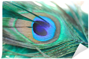 Purple Peacock Feather Png - Peafowl (400x400)