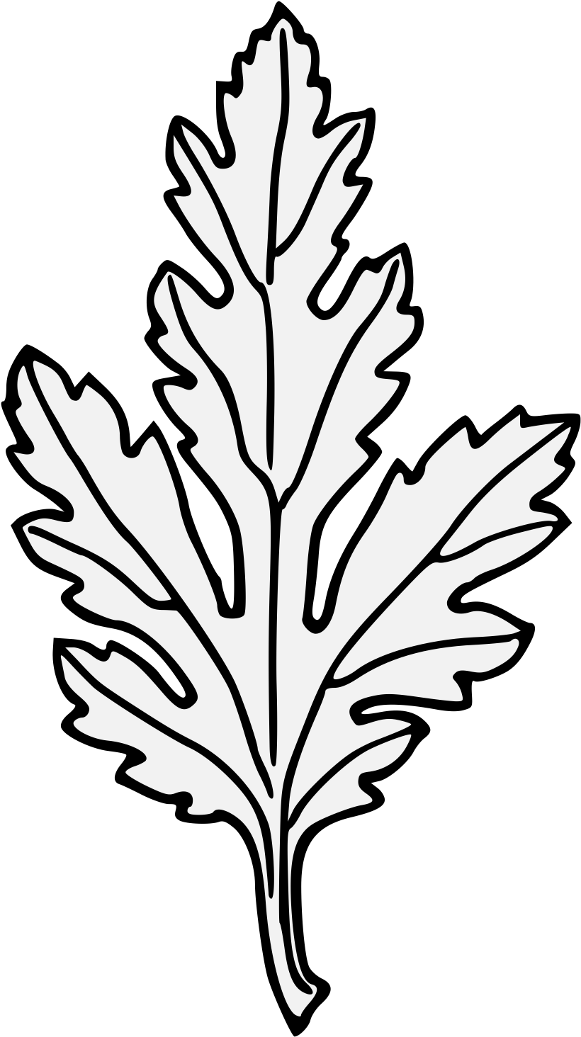 Chrysanthemum Leaf - Line Art (843x1485)
