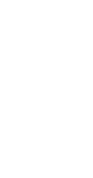 White Leaf Png (312x596)