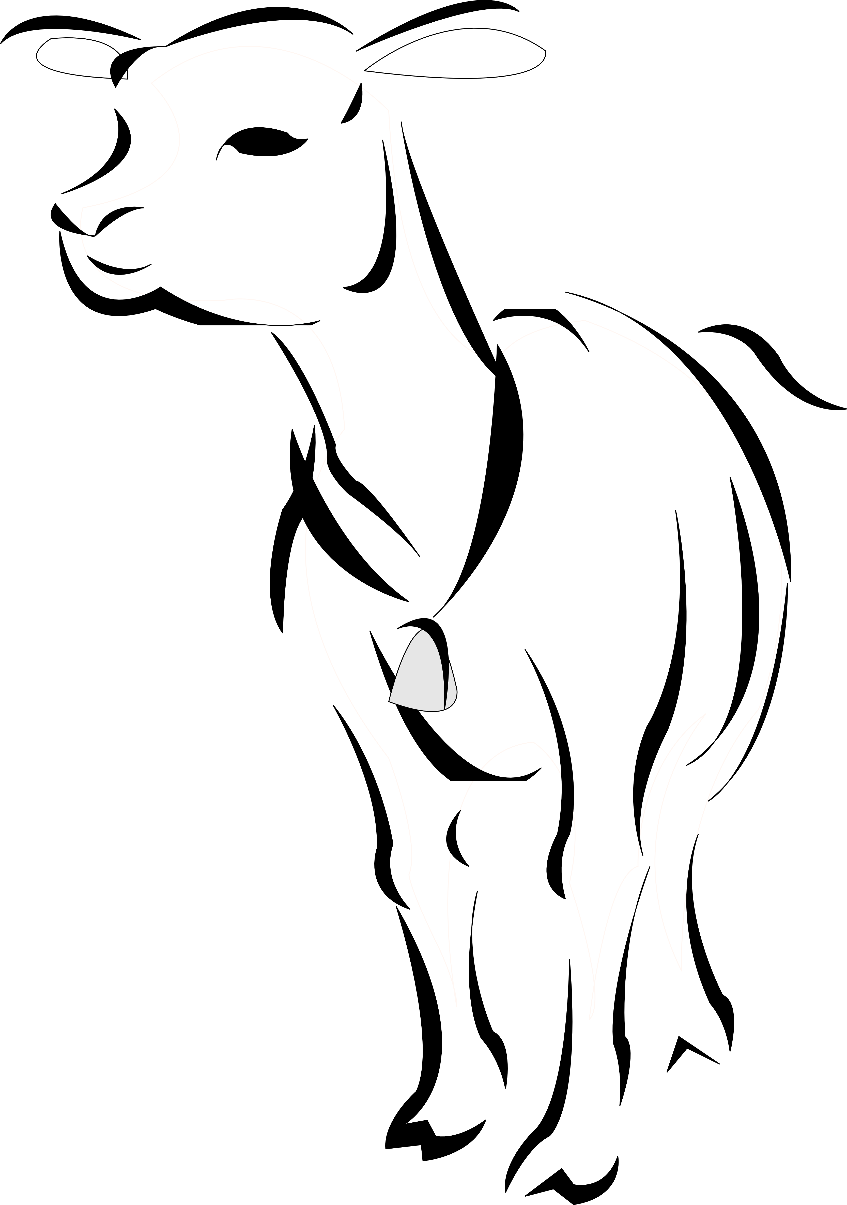 Gallery Of Clipart Info With Lamb Clipart Black And - Lamb Clip Art (3333x4740)