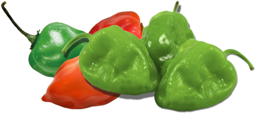 Delight The Palate Of Your Customers Including Your - Habanero Chili (527x237)