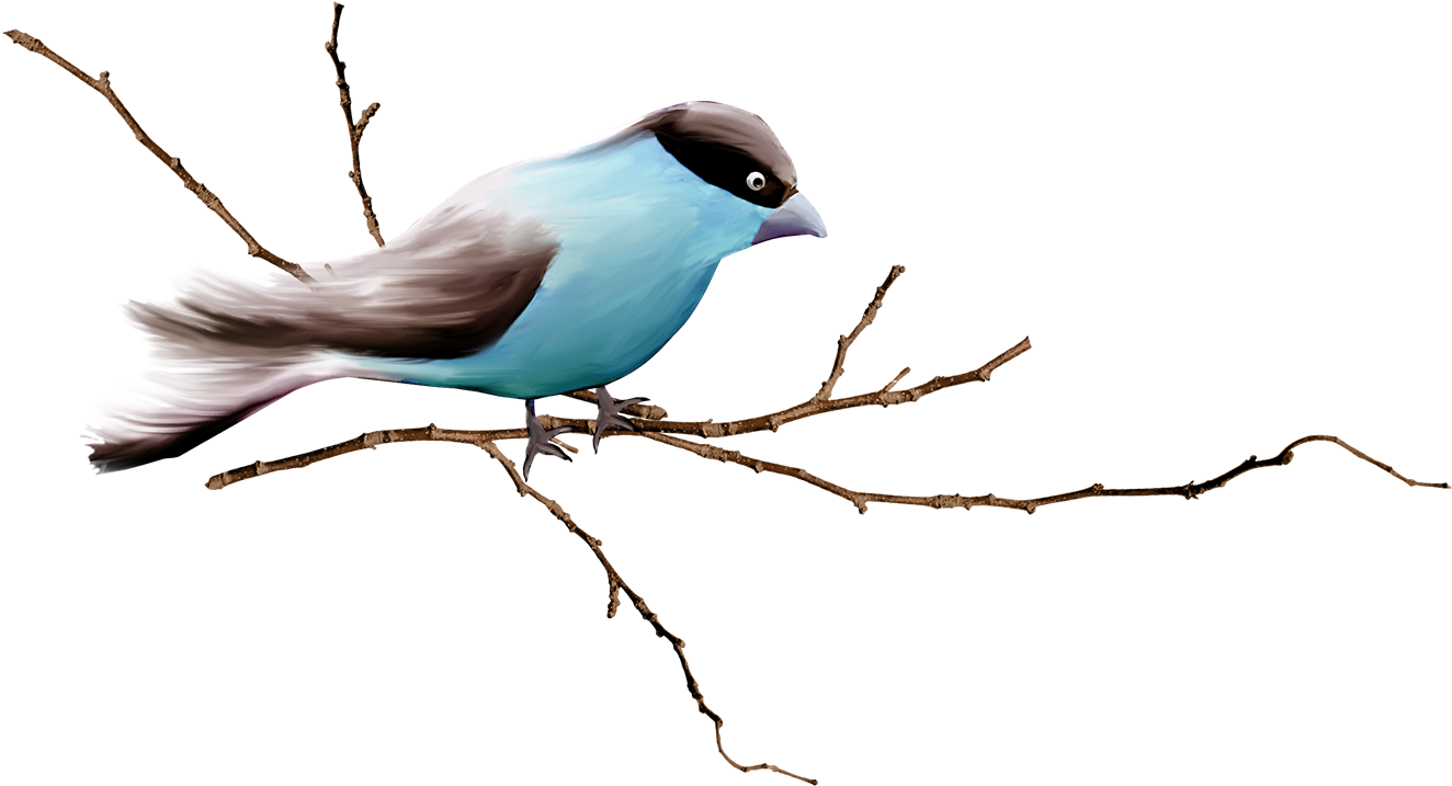 卡通手绘树枝鸟 - Bird On Branch Png (1600x964)