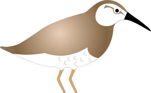 Sandpiper Svg - Pigeons And Doves (501x308)