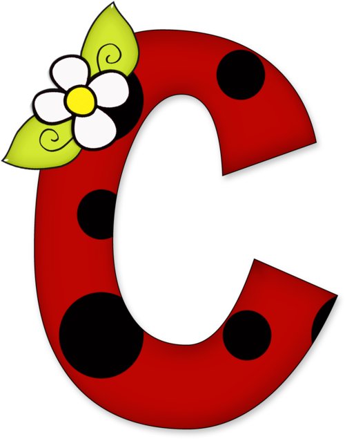 Http - //duda-cavalcanti - Minus - Com/mzrjreu4zzvoc - Ladybird Beetle (831x900)
