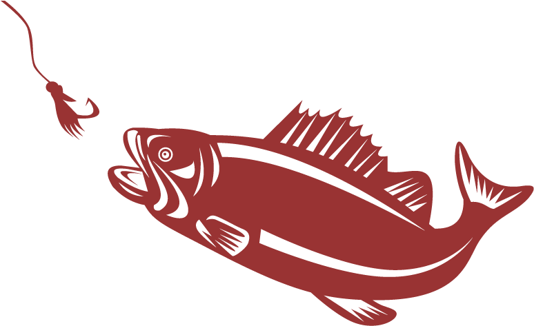 Largemouth Bass Fly Fishing For Beginners - Bass Fish Png (800x500)