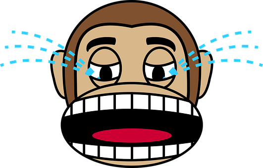 Face, Loud Crying, Monkey - Imagenes De Mono Llorando (531x340)