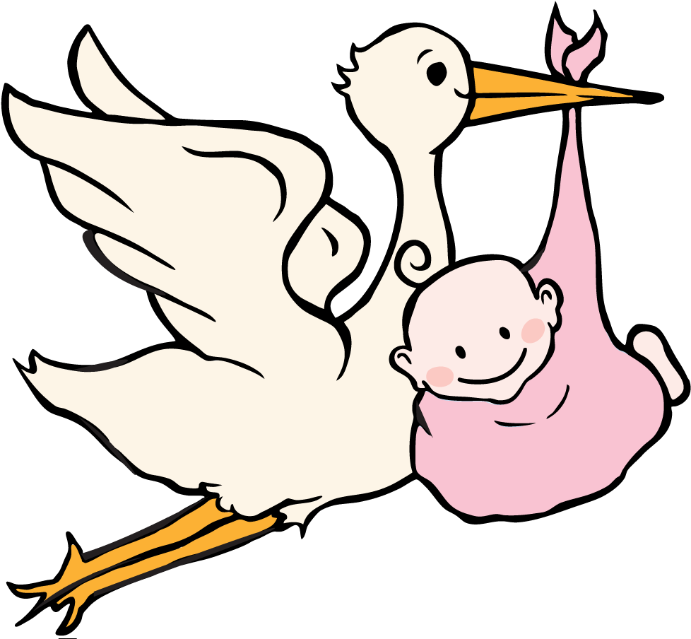 Birth Announcementsthe Ocala Center - Stork Baby (1000x904)