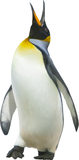 I'm - Penguin White Background (271x548)