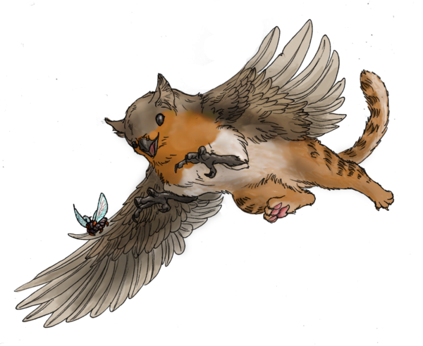 Gryphon Flight-sketch 1 Robin By Ciameth On Deviantart - Gryphon In Flight (600x492)