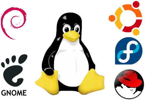 En Esta Guía Tutorial Te Enseño Cómo Usar Wordpress - Red Hat Linux (500x327)