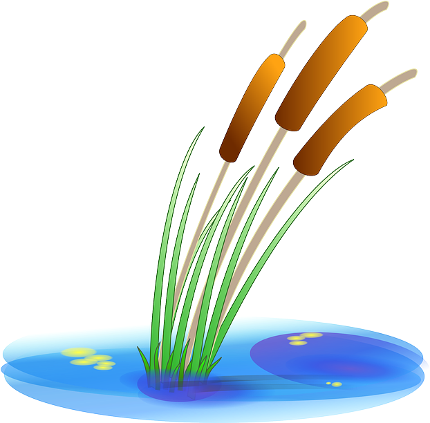 Download Scalable Vector Graphics Clip Art - Pond Plant Clipart (640x611)
